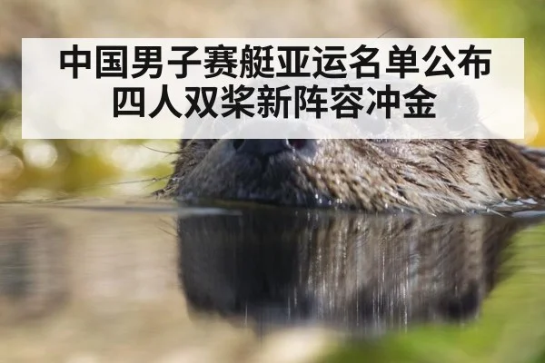 中国男子赛艇亚运名单公布 四人双桨新阵容冲金